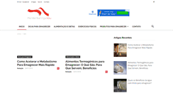 Desktop Screenshot of perderbarrigavou.com